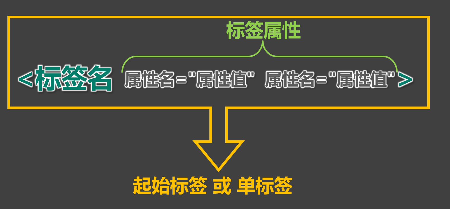 标签属性
